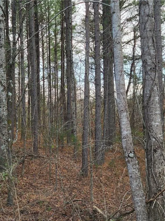 1671 Bowen Road Pinnacle, NC 27043