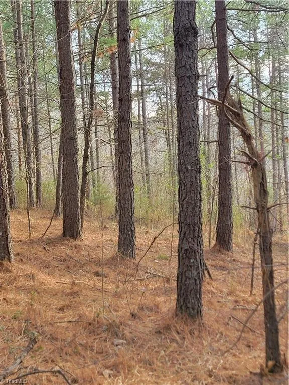 1671 Bowen Road Pinnacle, NC 27043