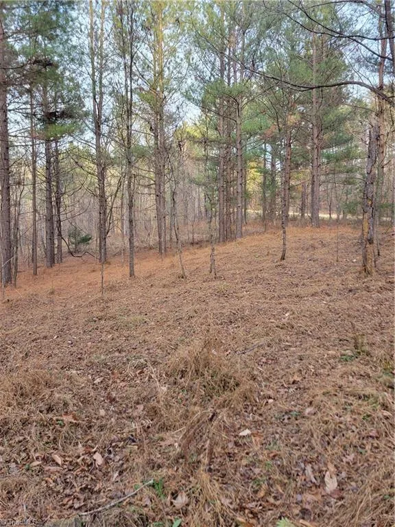 1671 Bowen Road Pinnacle, NC 27043