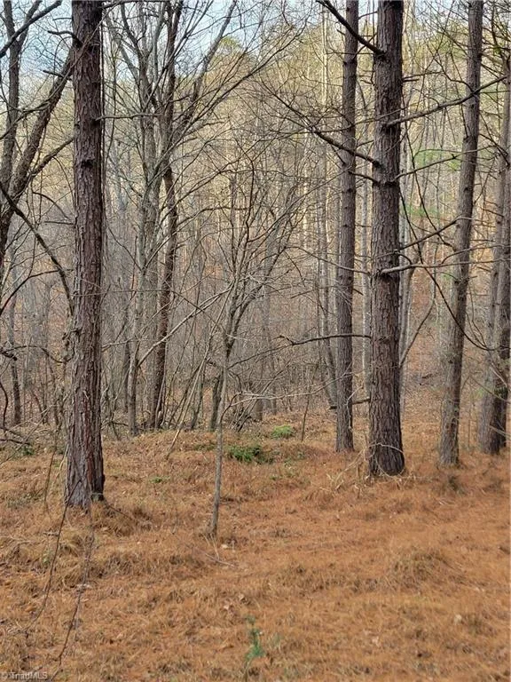 1671 Bowen Road Pinnacle, NC 27043