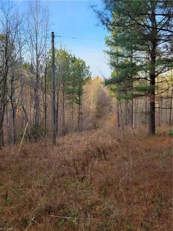 1671 Bowen Road Pinnacle, NC 27043