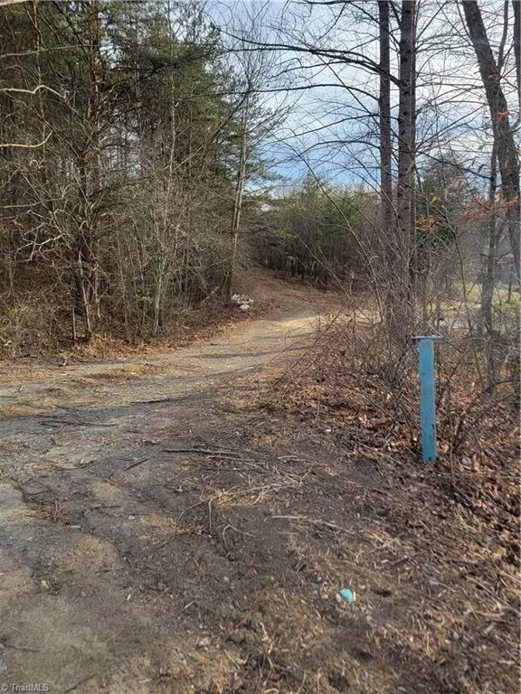 1671 Bowen Road Pinnacle, NC 27043