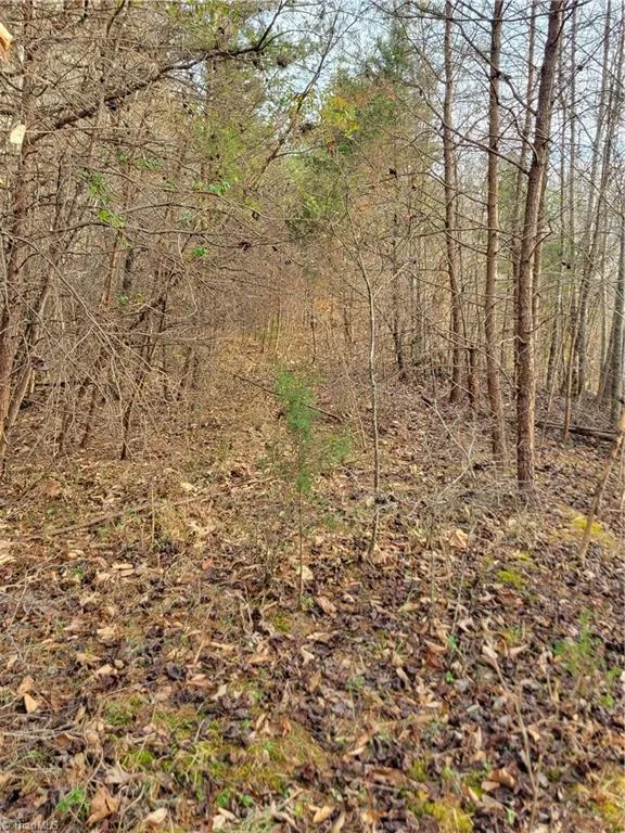 1671 Bowen Road Pinnacle, NC 27043