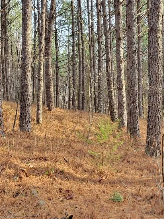 1671 Bowen Road Pinnacle, NC 27043