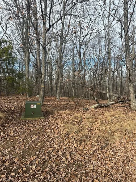 1527 Sierra Trace Road Denton, NC 27239
