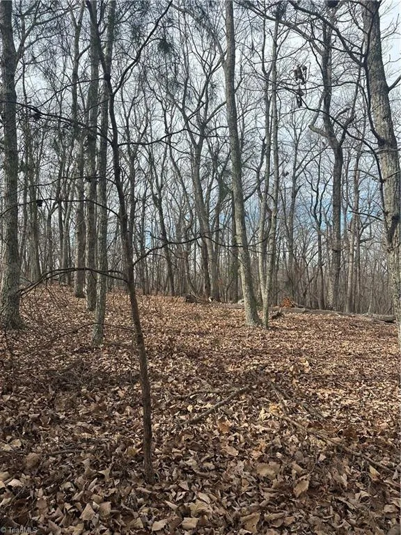 1527 Sierra Trace Road Denton, NC 27239