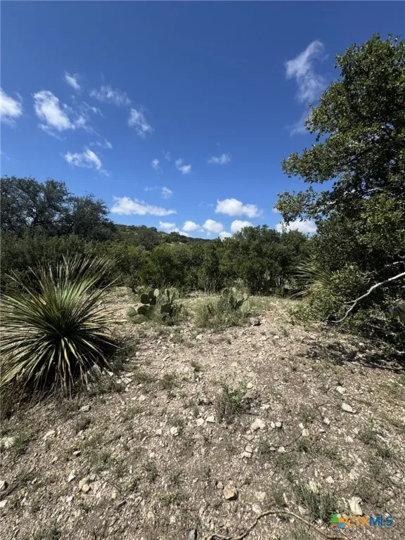 32 Private Road Rocksprings, TX 78880