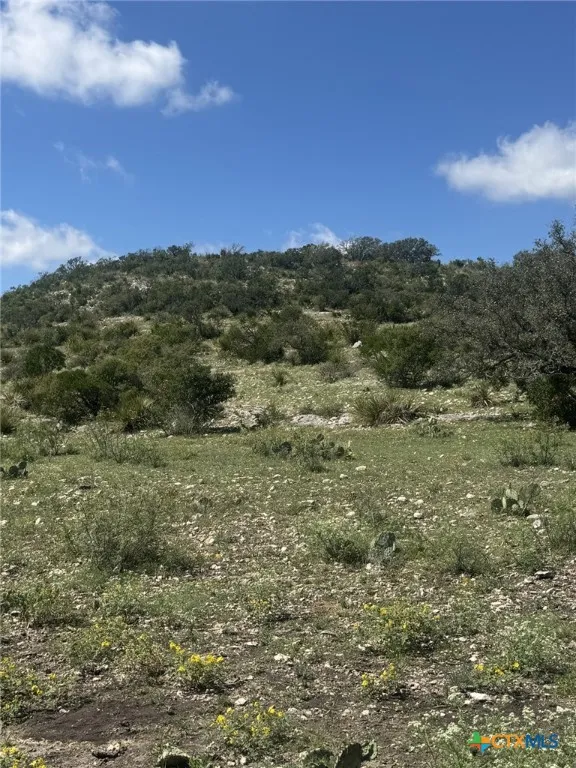 32 Private Road Rocksprings, TX 78880