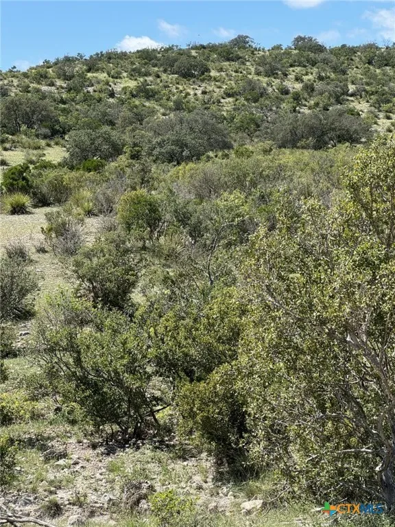 32 Private Road Rocksprings, TX 78880