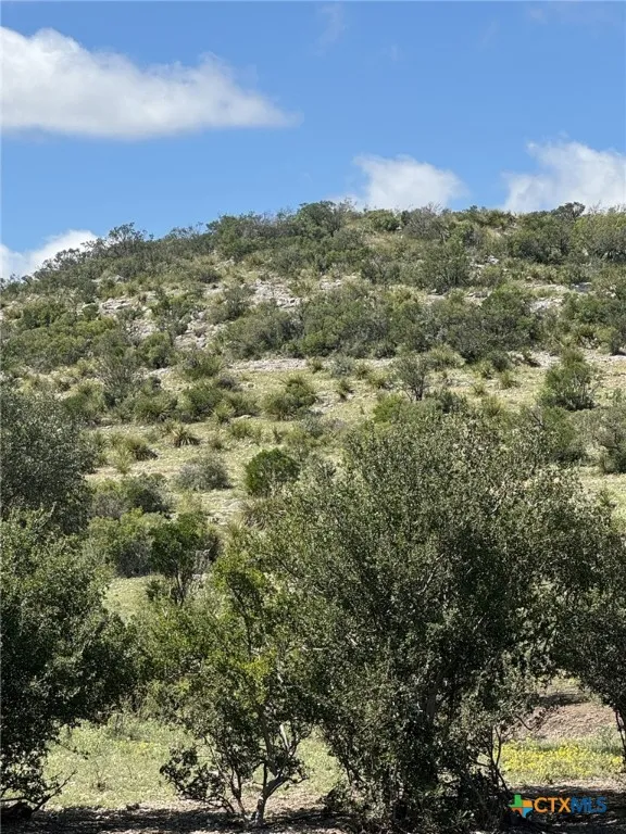 32 Private Road Rocksprings, TX 78880