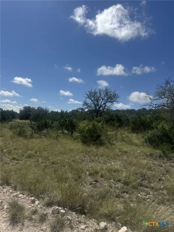 32 Private Road Rocksprings, TX 78880