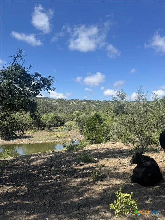 32 Private Road Rocksprings, TX 78880