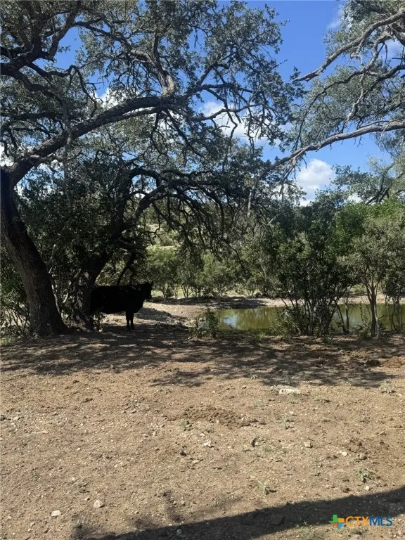 32 Private Road Rocksprings, TX 78880