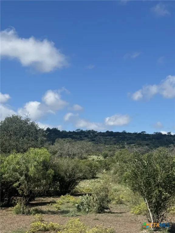 32 Private Road Rocksprings, TX 78880