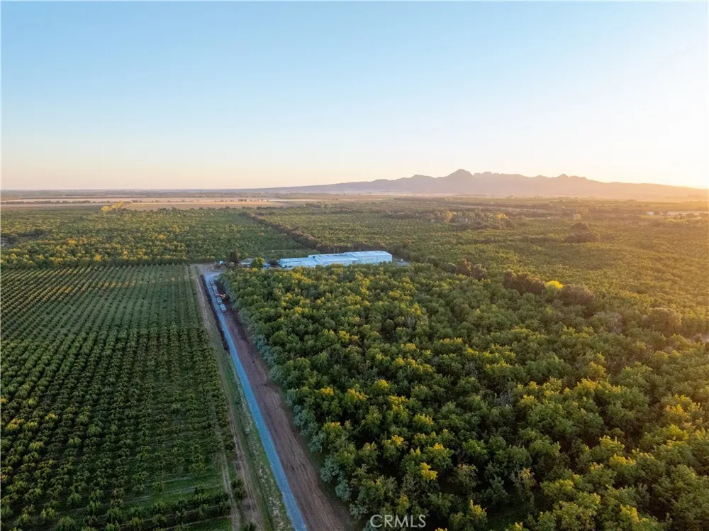 459 W Evans Reimer Road Gridley, CA 95948