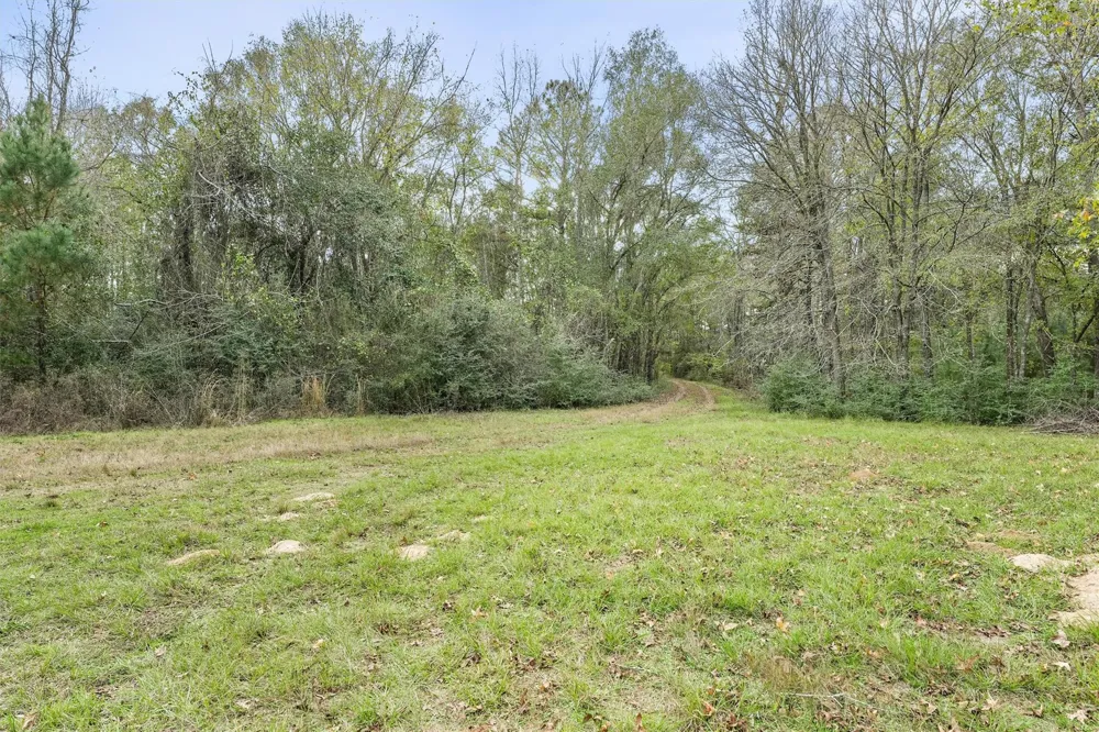 5589 Pr 1580 Centerville, TX 75833