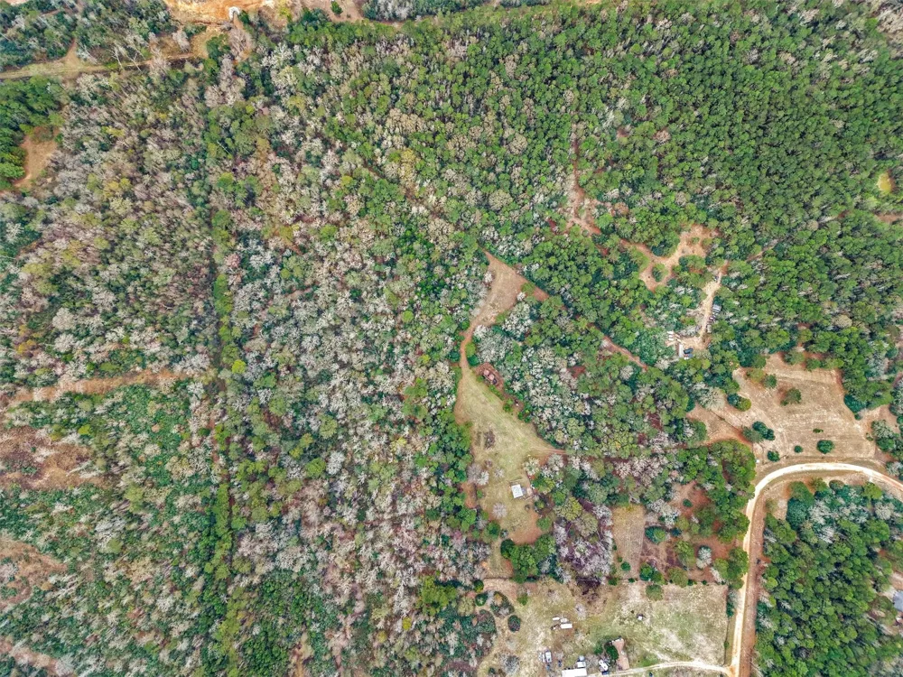 5589 Pr 1580 Centerville, TX 75833