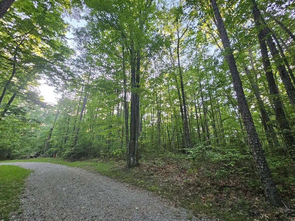 3 Savage Highland Drive Coalmont, TN 37313