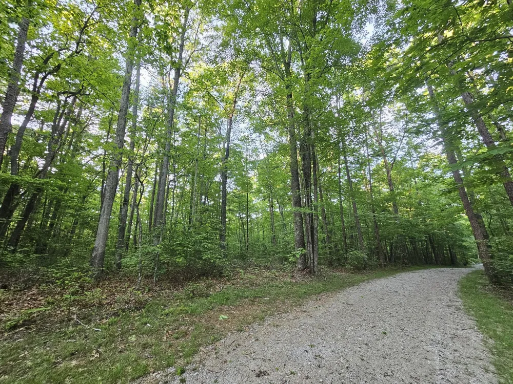 3 Savage Highland Drive Coalmont, TN 37313