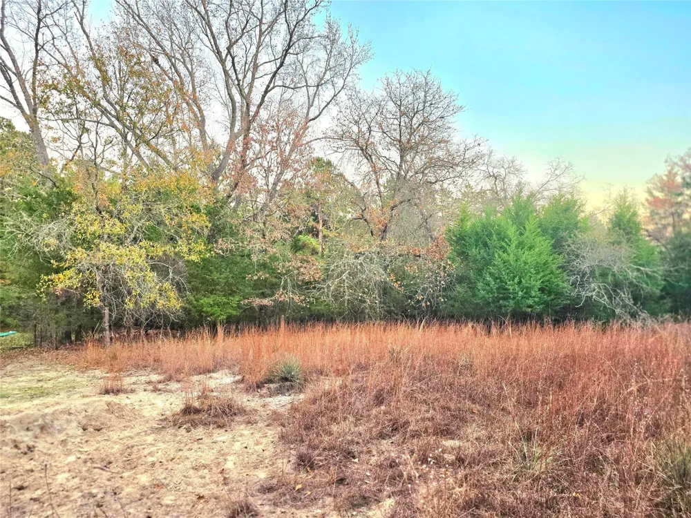 Mallard Way Larue, TX 75770