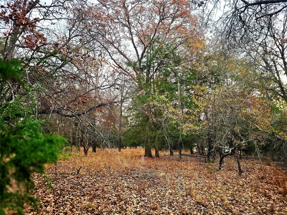 Mallard Way Larue, TX 75770