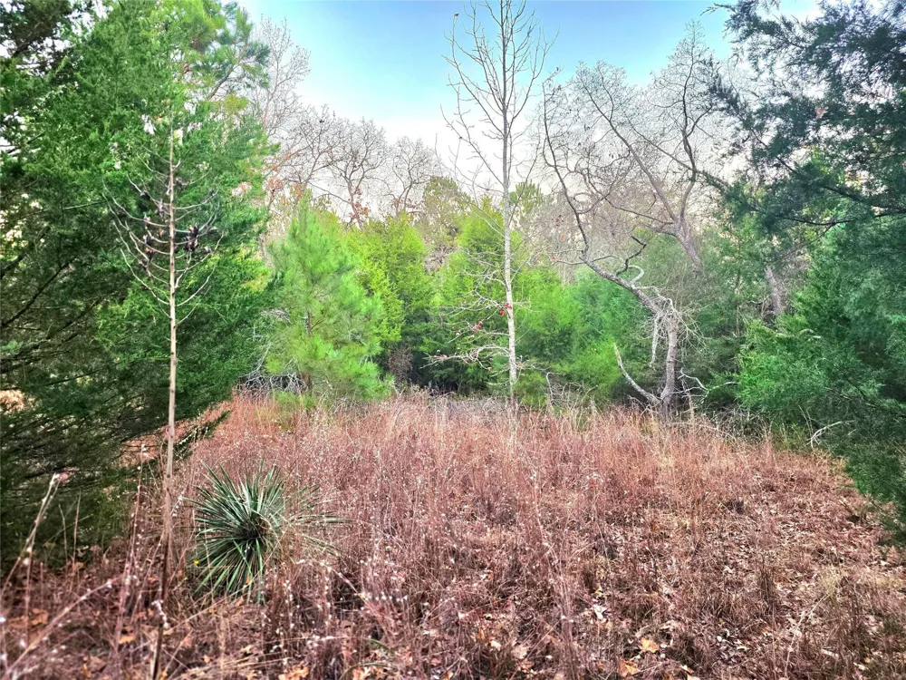 Mallard Way Larue, TX 75770