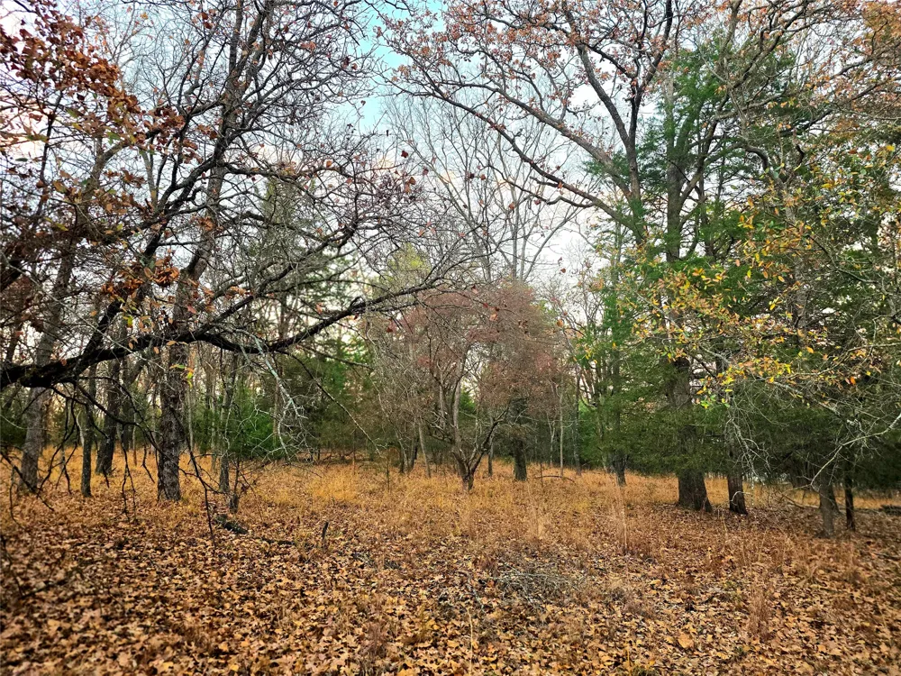 Mallard Way Larue, TX 75770