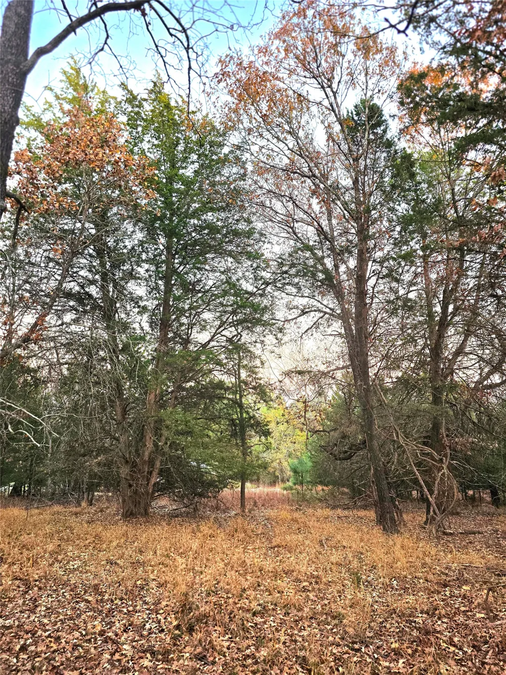 Mallard Way Larue, TX 75770