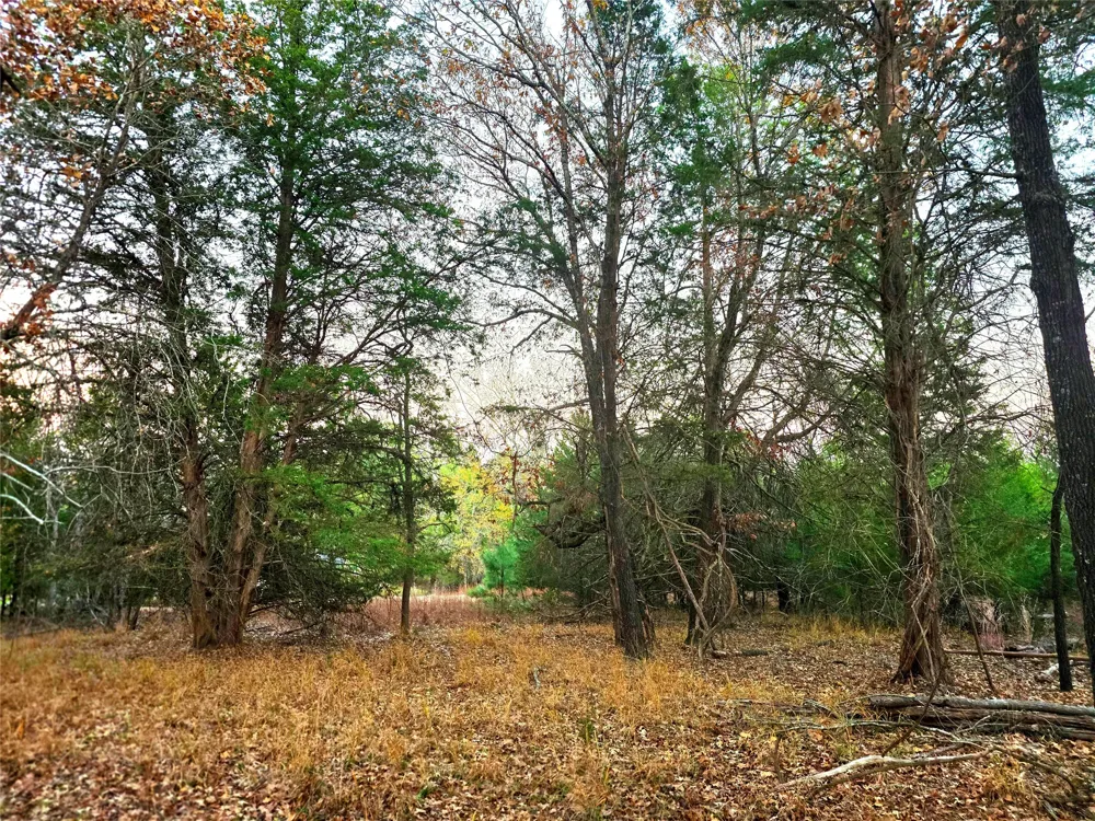 Mallard Way Larue, TX 75770