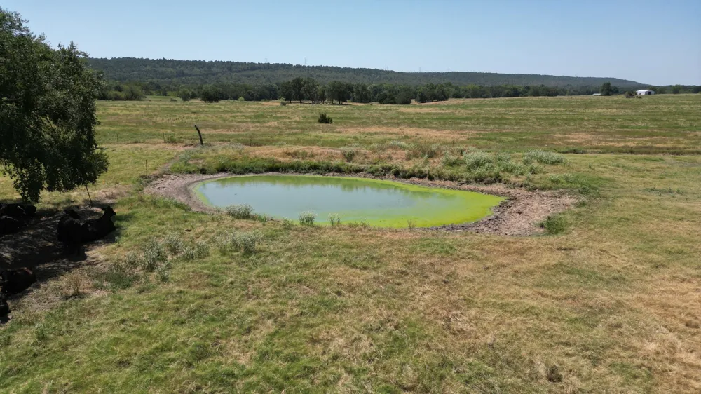 8446 E Greasy Bend Road Stringtown, OK 74569