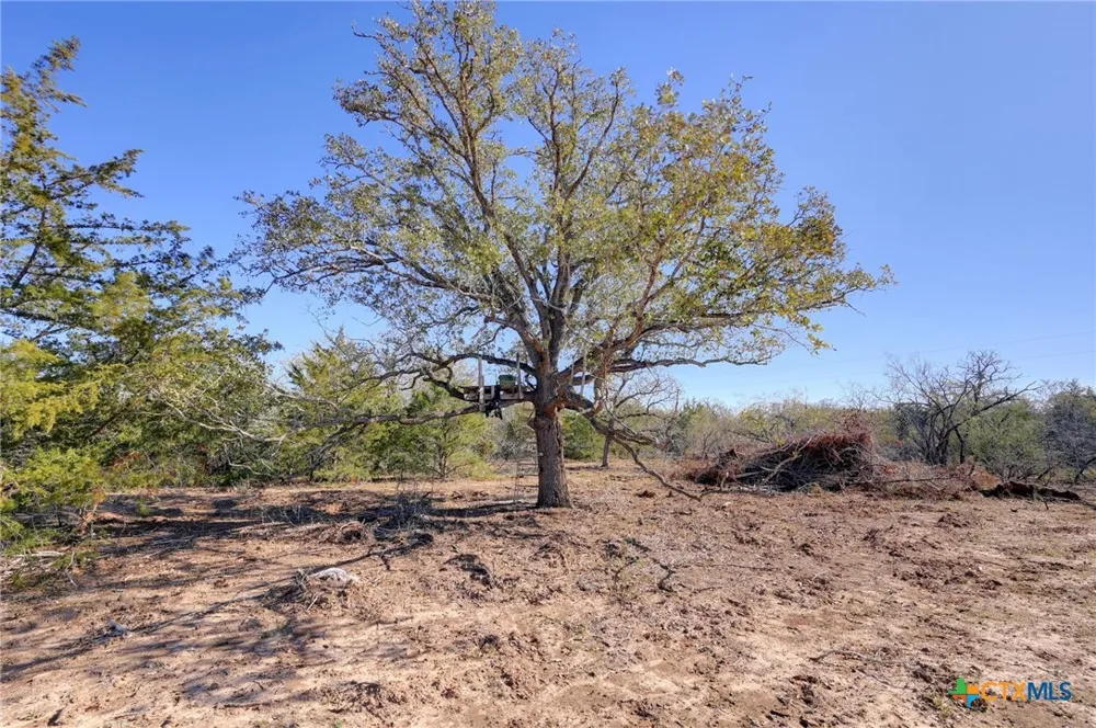 Fm 2762 Flatonia, TX 78941