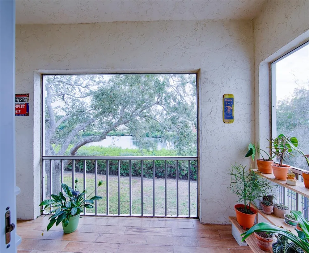 1860 MASSACHUSETTS AVENUE NE #224 St Petersburg, FL 33703