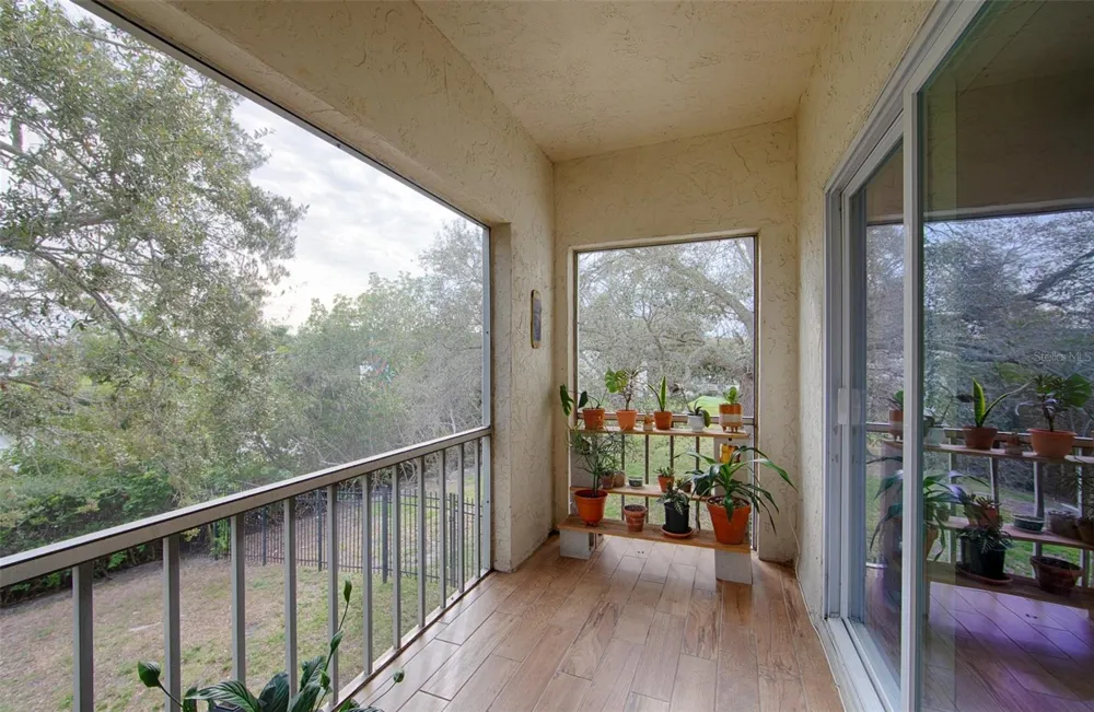 1860 MASSACHUSETTS AVENUE NE #224 St Petersburg, FL 33703