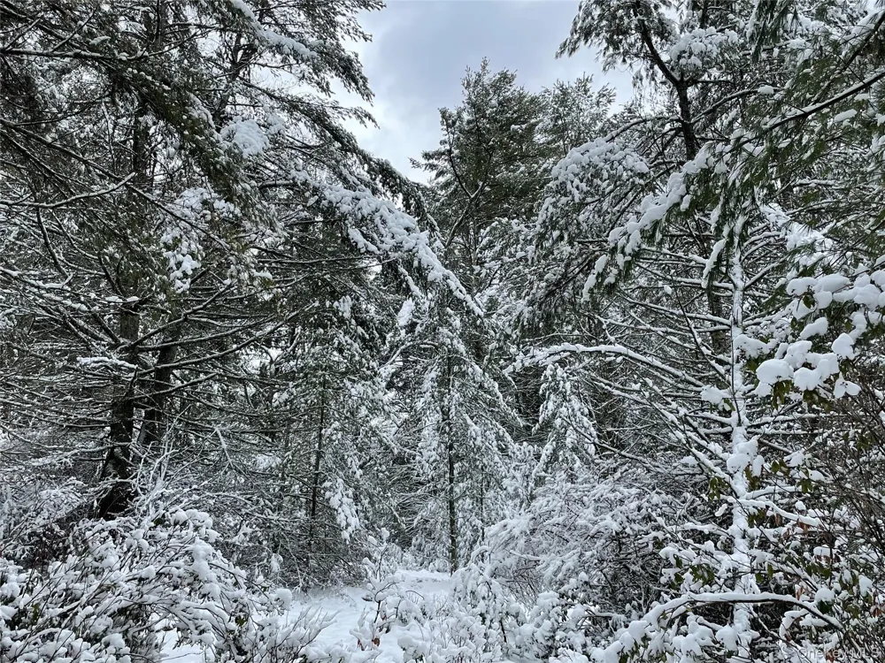 1315 Sackett Lake Rd Forestburgh, NY 12777