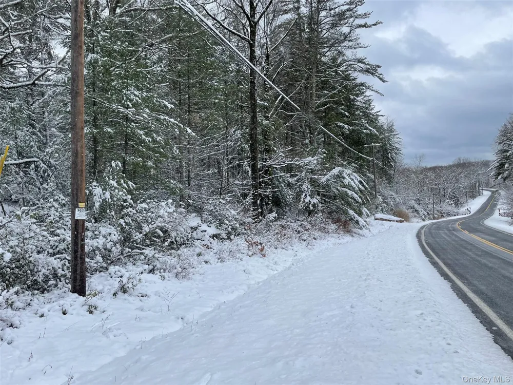 1315 Sackett Lake Rd Forestburgh, NY 12777