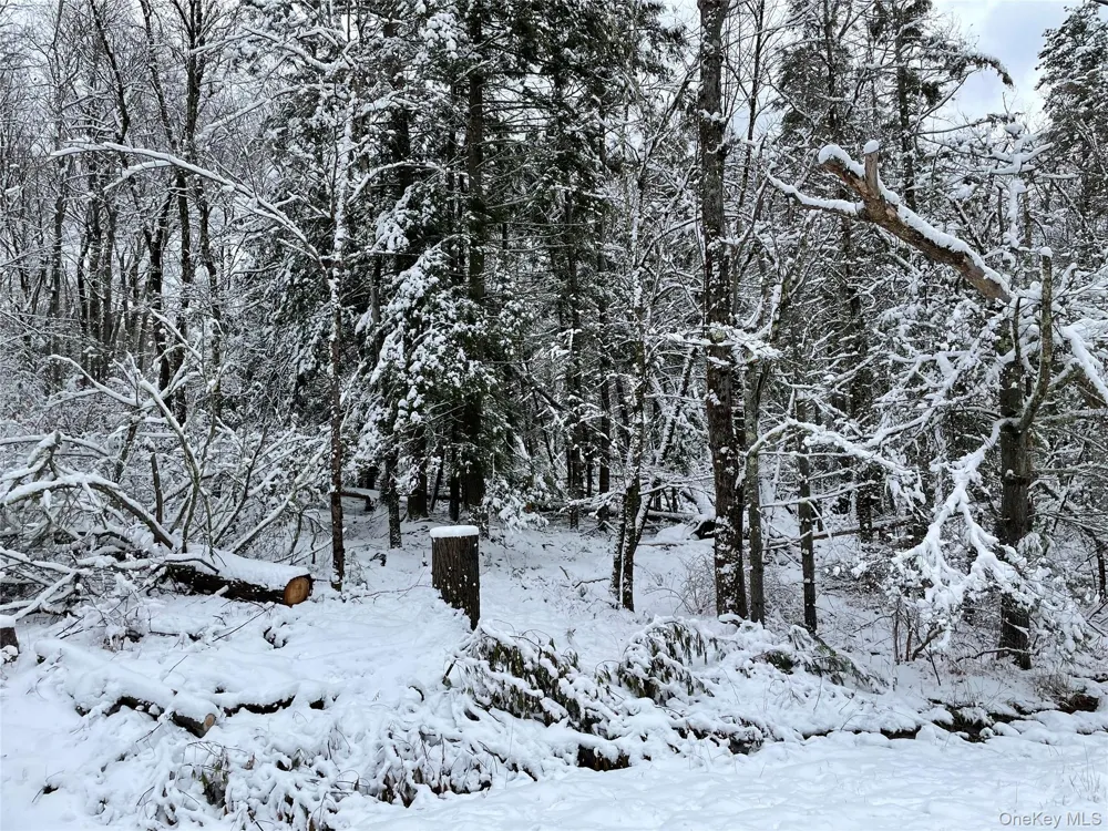 1315 Sackett Lake Rd Forestburgh, NY 12777
