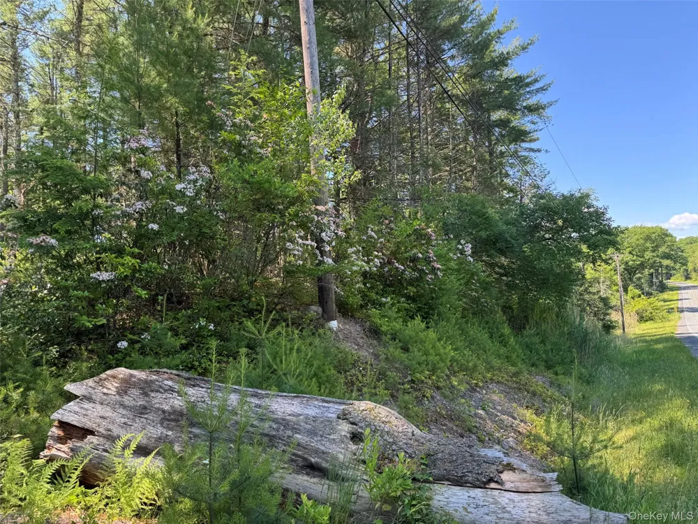 1315 Sackett Lake Rd Forestburgh, NY 12777