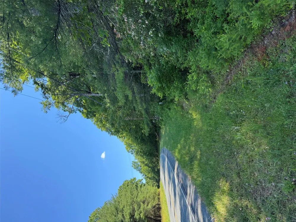 1315 Sackett Lake Rd Forestburgh, NY 12777
