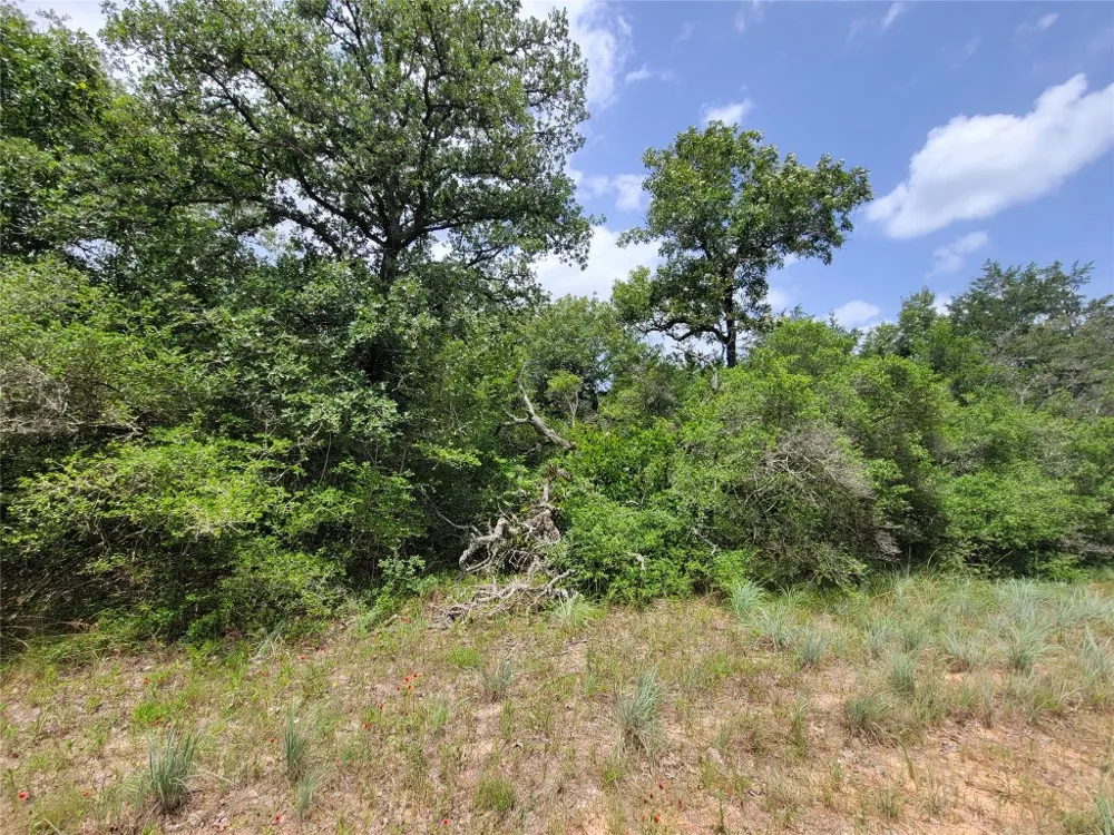 Cheyenne Hilltop Lakes, TX 77871