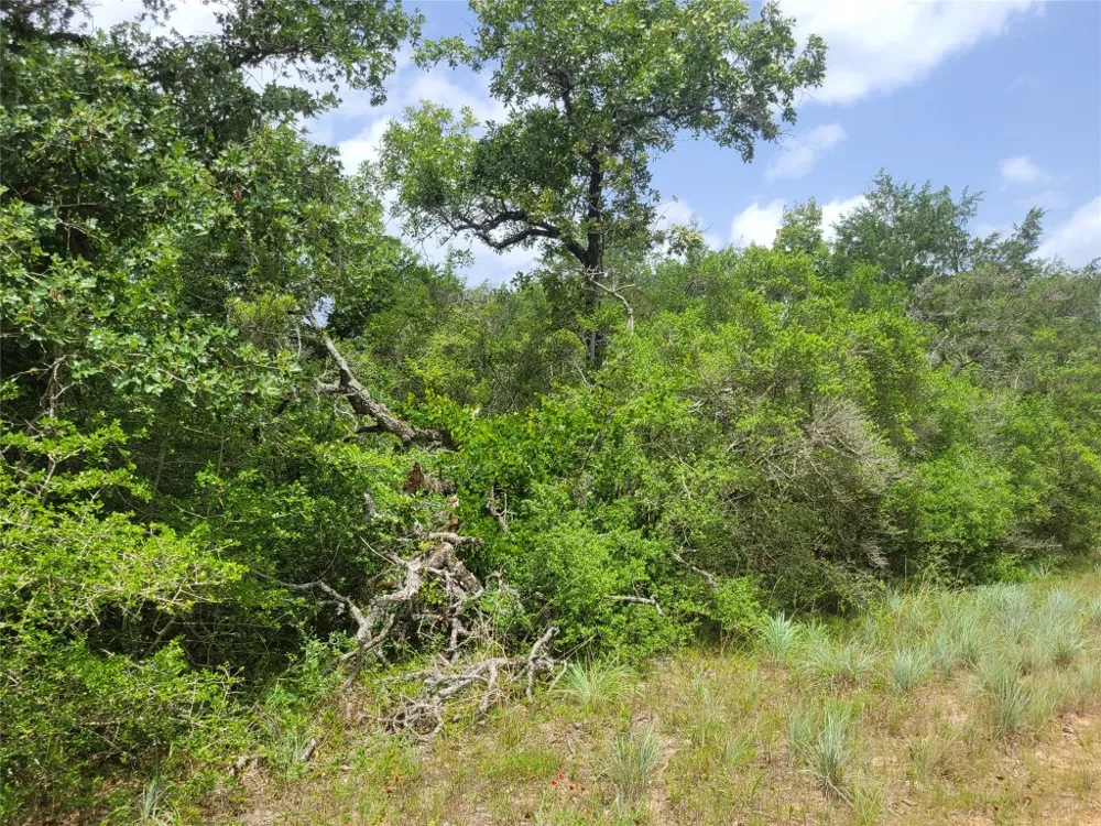 Cheyenne Hilltop Lakes, TX 77871