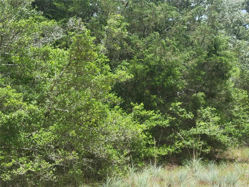 Cheyenne Hilltop Lakes, TX 77871