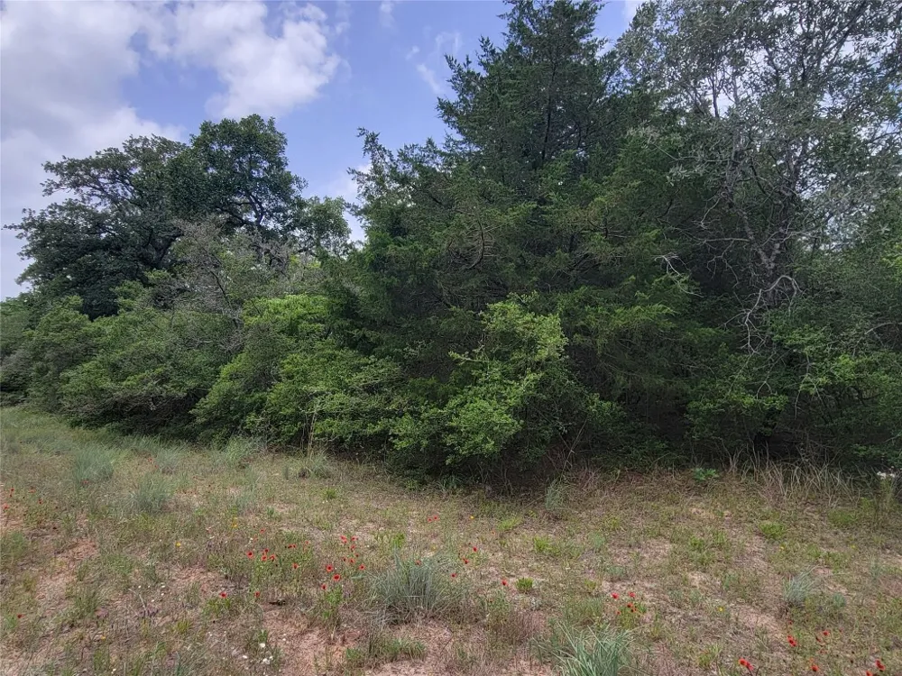 Cheyenne Hilltop Lakes, TX 77871