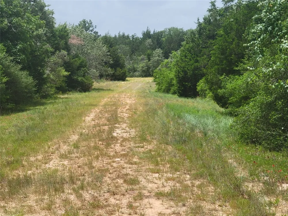 Cheyenne Hilltop Lakes, TX 77871