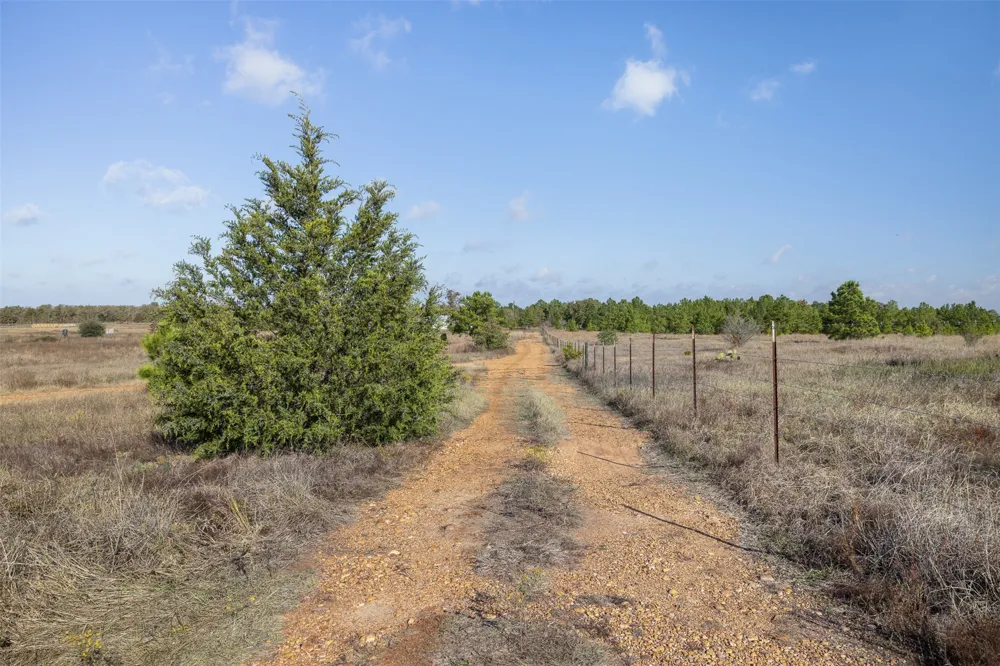 1759 Gotier Trace Road Paige, TX 78659