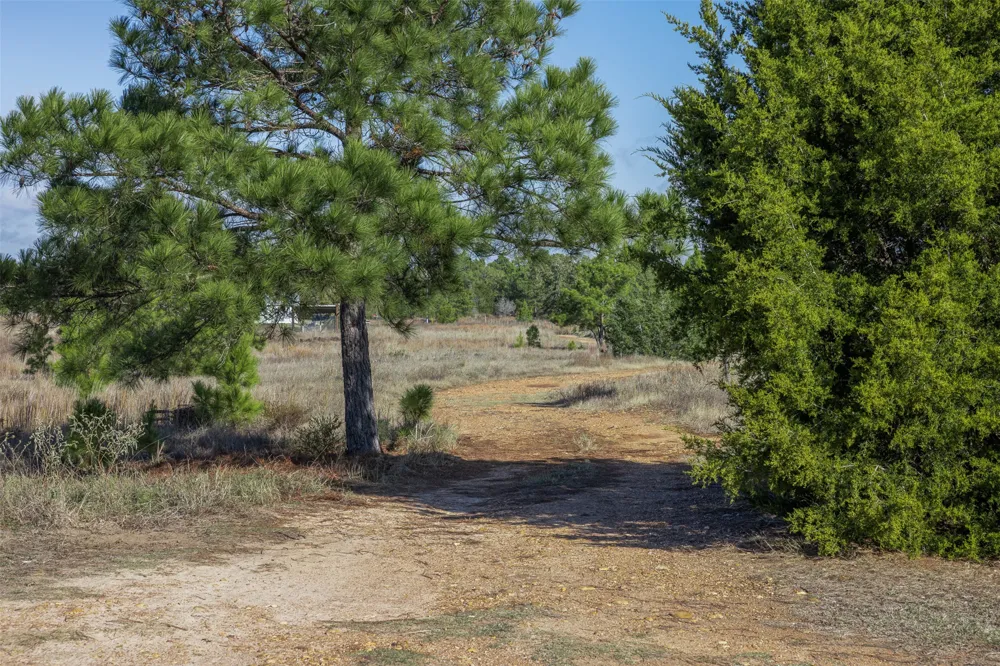 1759 Gotier Trace Road Paige, TX 78659
