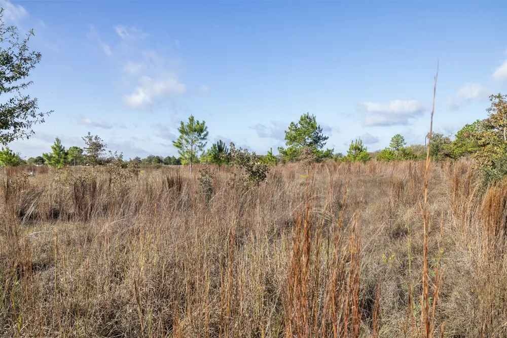 1759 Gotier Trace Road Paige, TX 78659