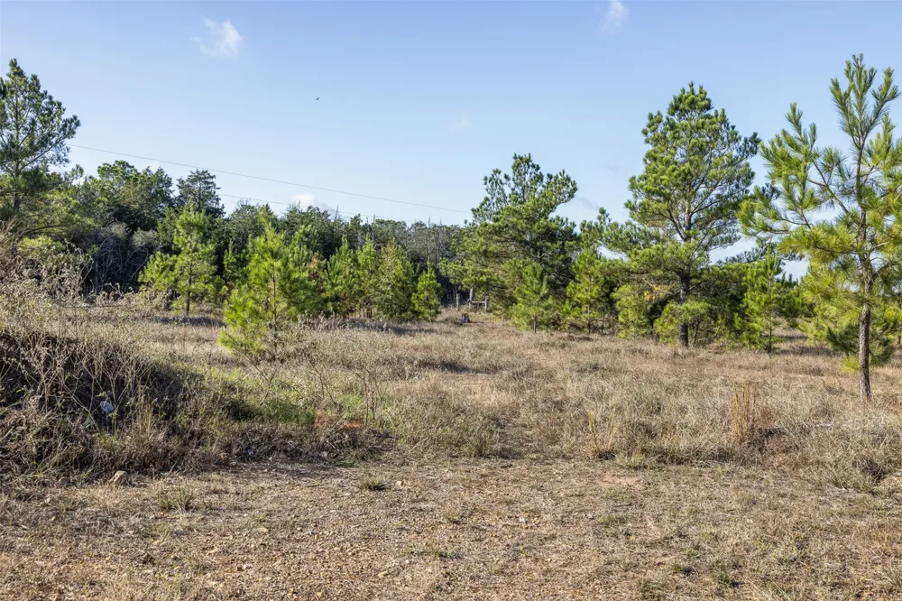 1759 Gotier Trace Road Paige, TX 78659