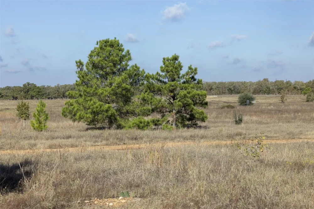 1759 Gotier Trace Road Paige, TX 78659