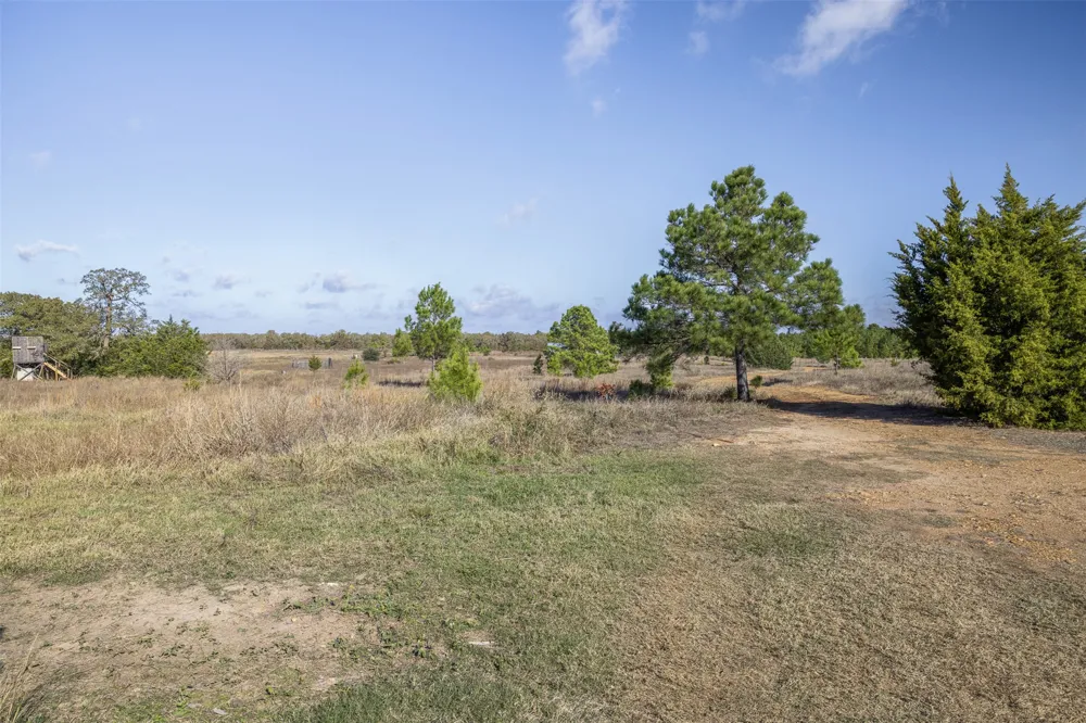 1759 Gotier Trace Road Paige, TX 78659