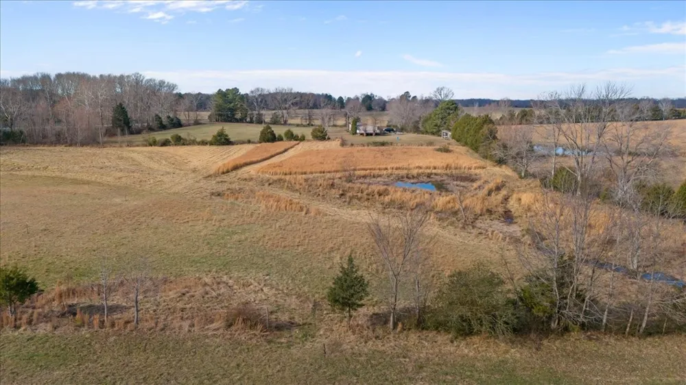 0 Polley Willey Rd Dickson, TN 37055